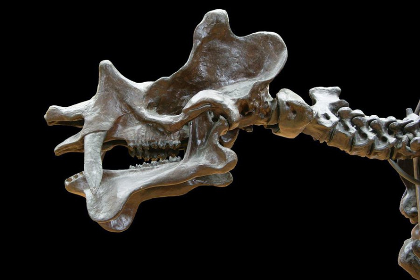 Ученые опровергли теорию, что динозавры из Исяня погибли от местных «Помпей»