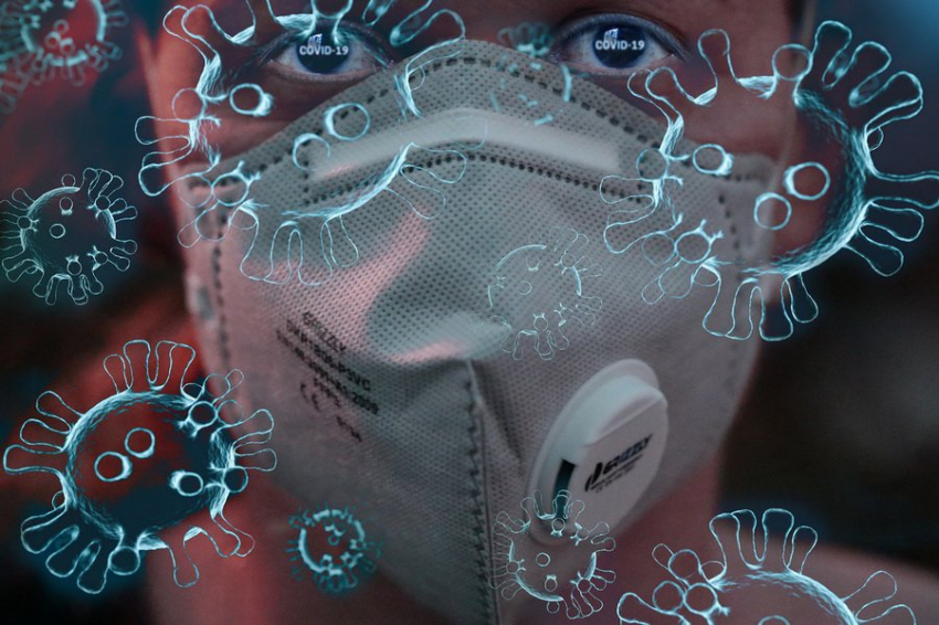 Птичий грипп и супербактерии: какие угрозы ждут человечество