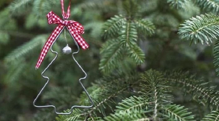 Выбор хвойных: какие ветки для ёлки в вазе сохранят свежесть дольше?