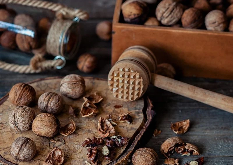 Пять орехов, которые врачи рекомендуют для здоровья: узнайте, какие!